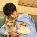 예랑도장 이미지