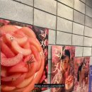 투썸플레이스(부산백양대로점) 이미지