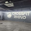 크로스핏 라이노 이미지