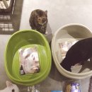 대포쉼터 화장실 이미지