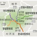 [🌴2026 제주] 윗세오름(봄) 노루샘~윗세오름-청도블로그