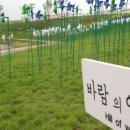 평화인쇄 네이버블로그