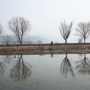 머리풍경 티스토리