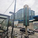 가산당구장 | 가산디지털단지역맛집 가산동술집 통파이브 가산점