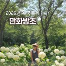 어리연 | 고성 만화방초 2026년 수국축제 7월 방문 후기