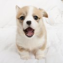 멤버쉽풀 이미지