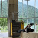 스테이위드독 이미지