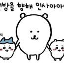 동카츠 이미지