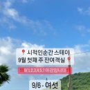 시적인순간 스테이 이미지