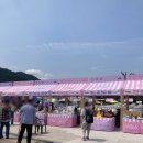 도심 해방로드, 주말의 광장 이미지