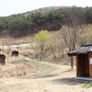 영모정 | 영모정 방문 후기: 자연 속 힐링 여행