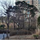 갤럭시부동산중개 이미지