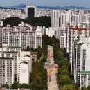 분당-173 이미지