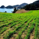 갤러리배동 이미지