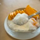 나이테나의이로운테이블 | 제주 동쪽 세화해수욕장이 보이는 애플망고빙수 맛집 “나이테, 나의 이로운 테이블”