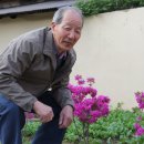 산호경로당 이미지