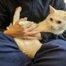 만덕24시동물병원 이미지