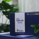 일송정푸드