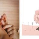 몸바로한의원동탄점 이미지