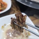 장수버섯 이미지