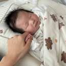 초심, 처음태권도 | 20232024