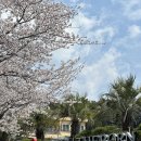 더케이제주 호텔(주) | 제주 숙소 더본호텔 예약방법 가격 비교 조식