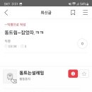 판관오리 Daum카페