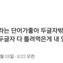 골라골라 이미지