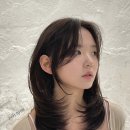 헤어현 이미지