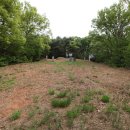 정지운선생묘 이미지