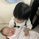 산후조리도우미과정 | [산후도우미]드림가 산후조리 도우미분 후기!!!! 찐 내돈내산