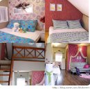 대관령가는길 이미지