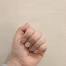 브이비네일