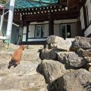 포레스트벨리 | 포레스트벨리 동두천점_경기도 애견 동반 독채 한옥 펜션