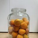 구주슈퍼 | 여름에 만들고 가을에 맛보는 담금주, 살구주 담그기