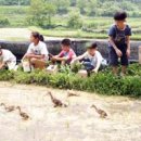 창원친환경영농조합법인 이미지