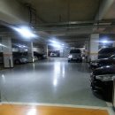 기업은행(오대문약국) 앞 이미지