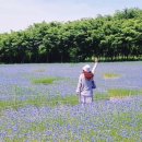 자연목장2 이미지