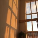 유니팝미술학원 이미지