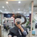 오늘머리하기좋은날 Daum카페
