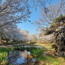 매봉재공원 화장실 이미지