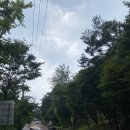 숲속작은도서관 | 서울 광진구 초록뷰 아차산 숲속도서관 버스타고 간 후기