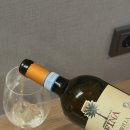 코스트코 가성비 와인 추천, 칸티네 피나 케브릴라 그릴로 Fina Kebrilla Grillo