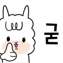 세나손네일