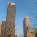 더# Daum카페