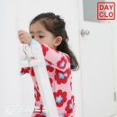 데이클로 이미지