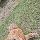 천안소소펜션 이미지