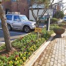 용성면행정복지센터 이미지