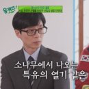과실온 이미지
