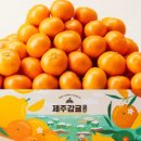 제주브릭스 이미지